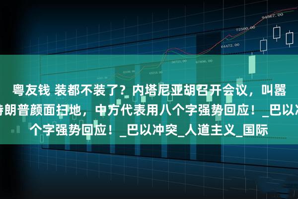 粤友钱 装都不装了？内塔尼亚胡召开会议，叫嚣要全面吞并加沙，特朗普颜面扫地，中方代表用八个字强势回应！_巴以冲突_人道主义_国际